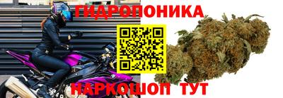 эйфоретик Абакан