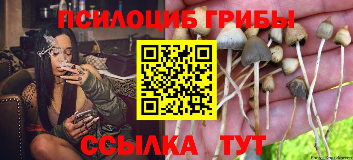 Бошки Шишки Новоуральск
