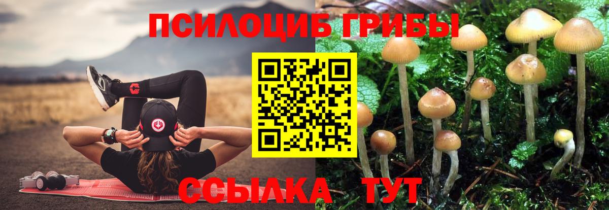 Псилоцибиновые грибы Cubensis  Вход с VPN  Новоуральск 